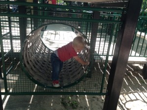 Tate loves tunnels! This was a pretty cool one....