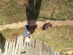 Chasing chickens! My shadow looks kind of cool!