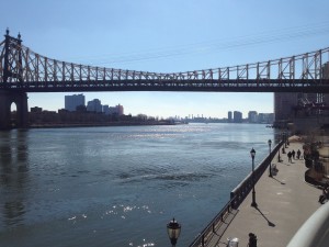 The East River from a higher viewing platform.