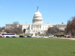 The Capitol Building.