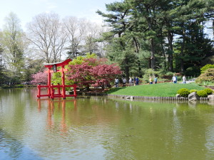 A view across the lake at the Japanese Garden.
