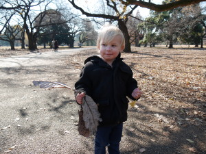 Tate and his leaves!