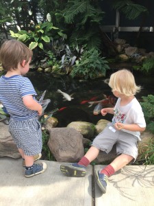 Watching the fish in the fishpond.